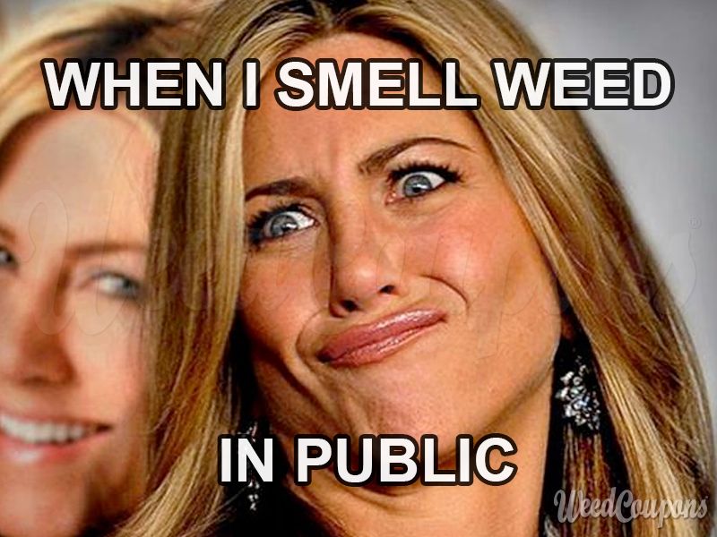 Being High Public Meme Jennifer Aniston