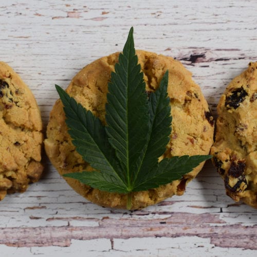 cannabis cookies