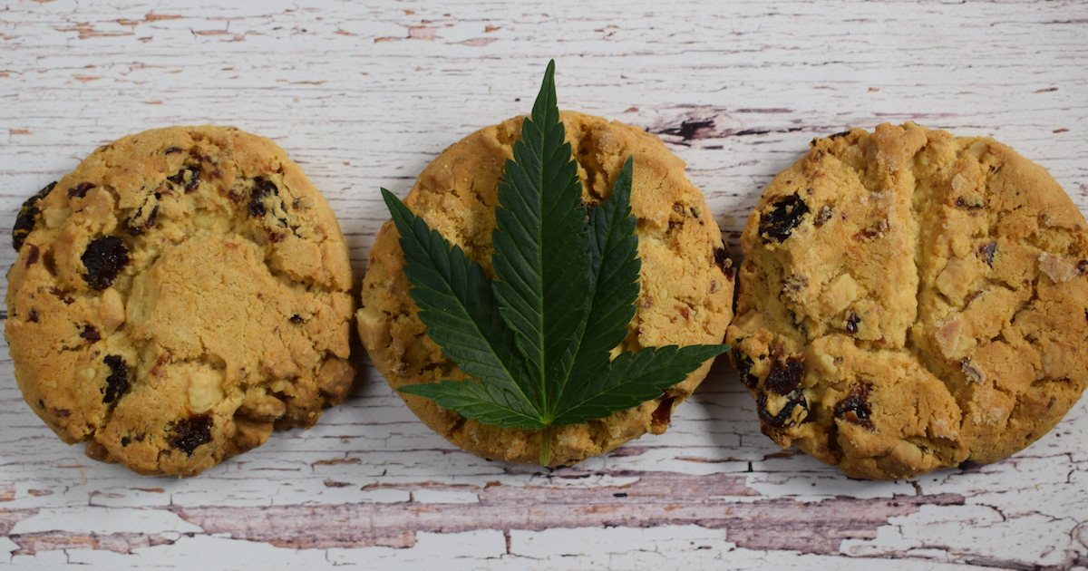 Celebrate Winter with Chocolate Chip Cannabis Cookies